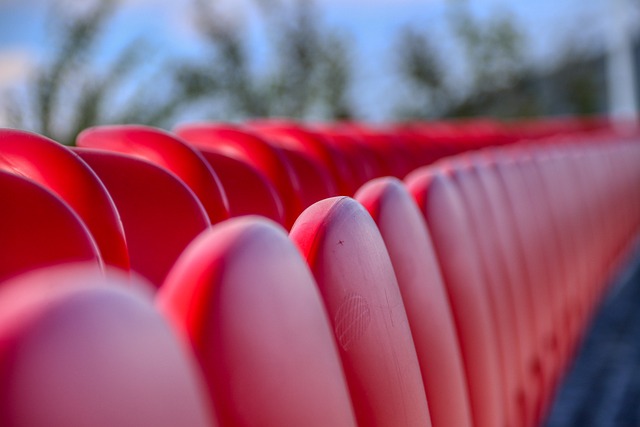 還是觀賞性 還是觀賞性