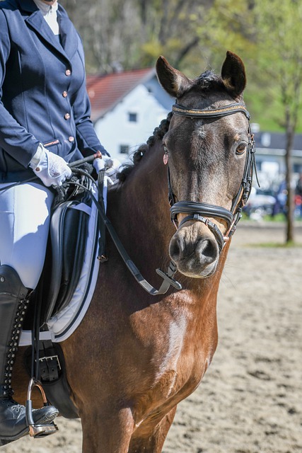 无疑为任何 无疑为任何