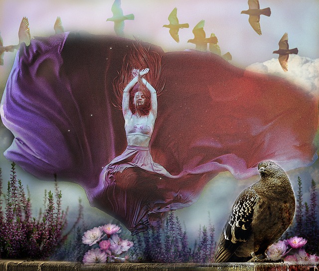 巴雷拉的轮 巴雷拉的轮