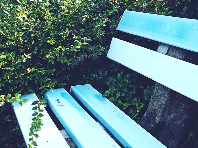 从而增强政 从而增强政