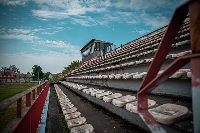 仅为球迷奉 仅为球迷奉