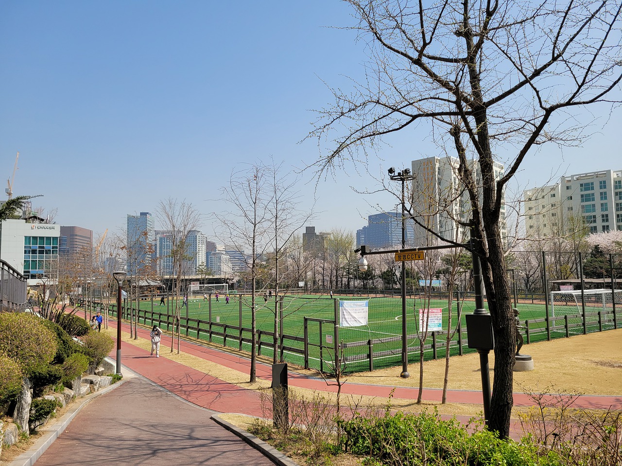 主教练常常